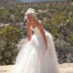 Ericah S Handmade Gold Dyed Tutu and Corset Janay A