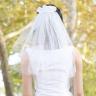 Starlight Veil